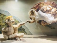 -济州岛泰迪熊博物馆