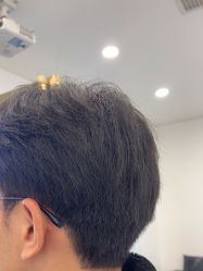 -YESIDO椰岛造型