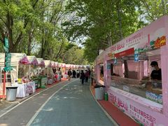 -太阳宫公园
