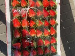 -江杨农产品批发市场