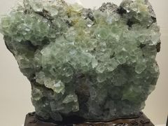 -安徽省地质博物馆