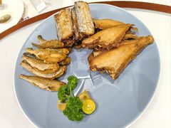 -南山鲜虾面·活鲜小馆·海味大连菜(南山总店)