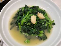 安徽菜苔-徽镇小厨·经典徽菜(马连道店)