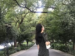-苏堤停车场
