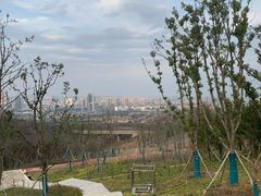 -南京市江宁方山