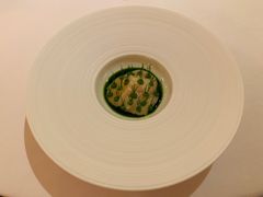 Trondheim&nbsp;bay&nbsp;scallop-Odette