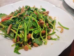 -九號渔港·蒸汽海鲜·粤菜茶点(八卦岭店)