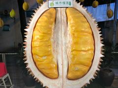 -都念榴莲·城市榴莲
