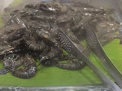 -伍棵煋炭烤自助料理·烤鳗鱼(浦东食品城店)