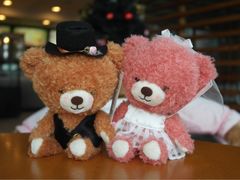 -济州岛泰迪熊博物馆