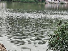 -八仙山公园