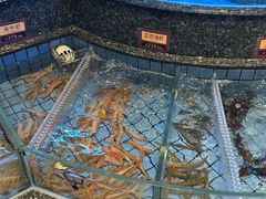 -协成海鲜火锅(情侣路店)