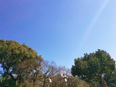 -普陀山风景名胜区-法雨禅寺