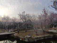 -三里河公园