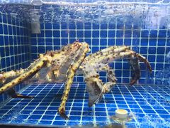 -徽三说·土徽菜·中国徽菜连锁品牌(一中店)