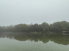 -象山森林公园
