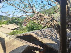 -海南槟榔谷黎苗文化旅游区