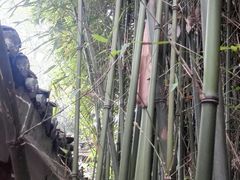 景点-桂林灵渠景区