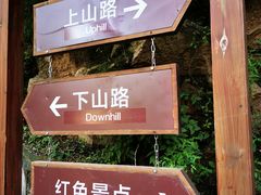 -大岭沟猕猴桃谷风景区