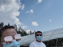 -庞各庄西瓜蔬菜采摘园·锦华瓜园