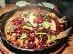 -老板恋上鱼(高新万达店)