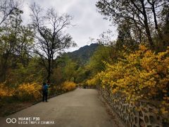 -北京鹫峰国家森林公园