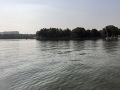 -北陵公园