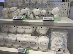 -line friends(明洞旗舰店)