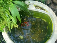 -黄埔油麻山森林公园