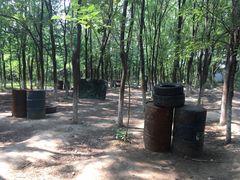 -亲兄弟真人CS团建拓展基地