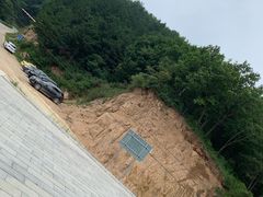 -六里坪国家森林公园