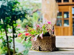 -花溪雨·森林餐厅(石基店)