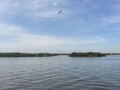 -乌梁素海景区