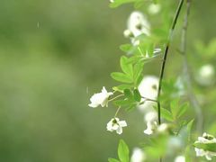 -南门头上美食街