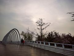 -大兴滨河森林公园