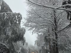 -江南天池