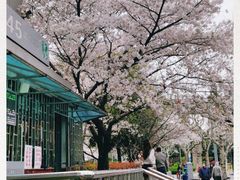 -上海南浦大桥长途旅游客运站