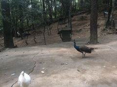 -翠屏湖景区