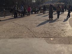 -康庄公园