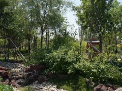 景点-武清南湖绿博园