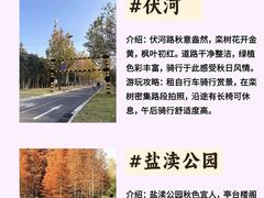 -黄海国家森林公园