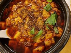 -陈麻婆豆腐总店
