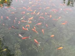 -水磨沟公园