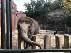 -大连森林动物园