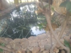-观唐（国际）度假村温泉