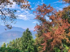 -广州市石门国家森林公园