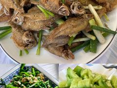 -洞天食府(北大街店)
