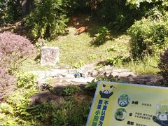 -广州动物园