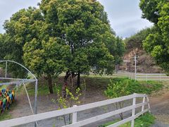 -杭州屏风山越野车营地·团建别墅轰趴民宿