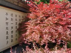 -法门文化景区
